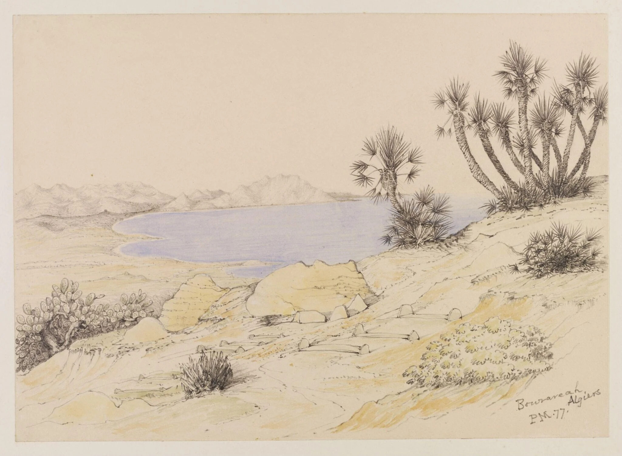 Bouzareah, Algiers, detail
