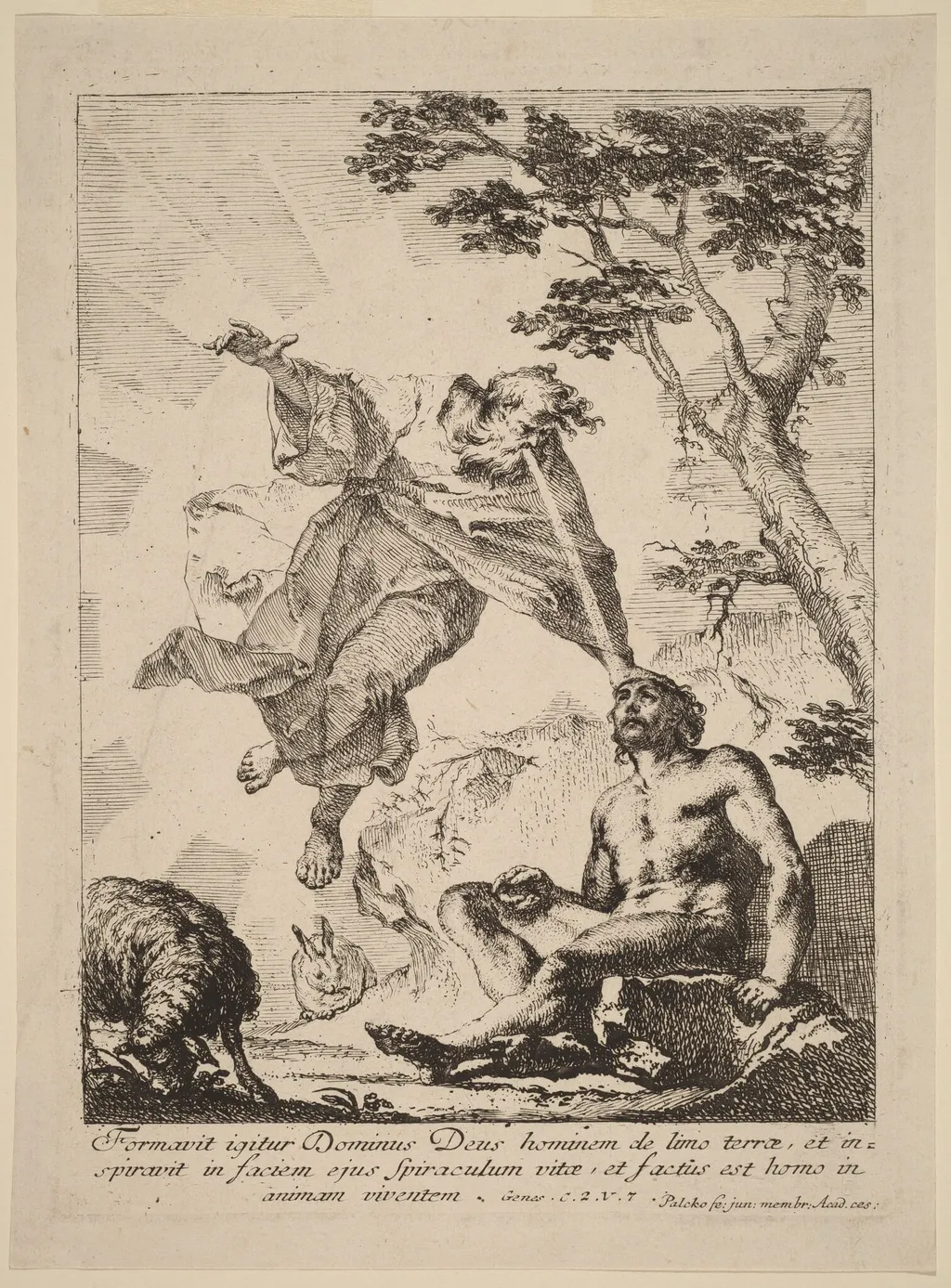 God Breathing Life into Adam, by Franz Karl Palko, ink, 1764