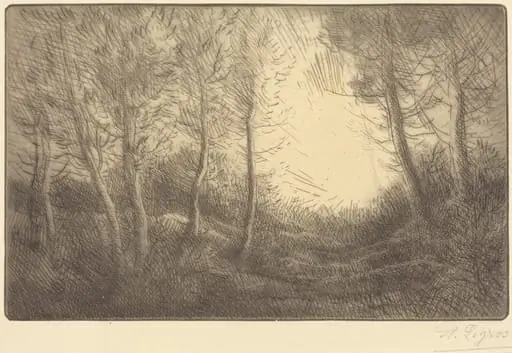 Sunrise, Woods of Clamard (Lever du soleil, bois de Clamard), by Alphonse Legros, ink, 1874