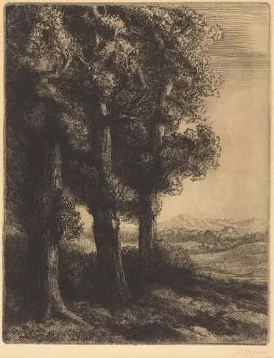 Corner of a Wood (Coin d'un bois), by Alphonse Legros, ink, 1882