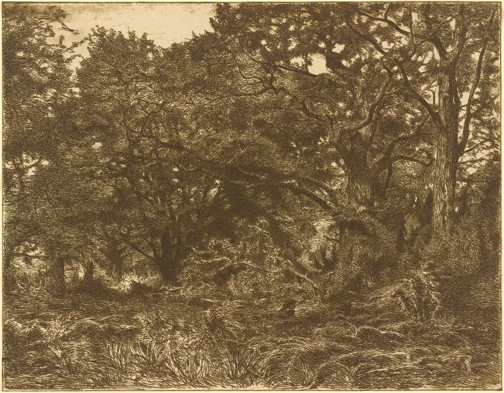 En Foret a Breau, by Adolphe André Wacquez, 1860