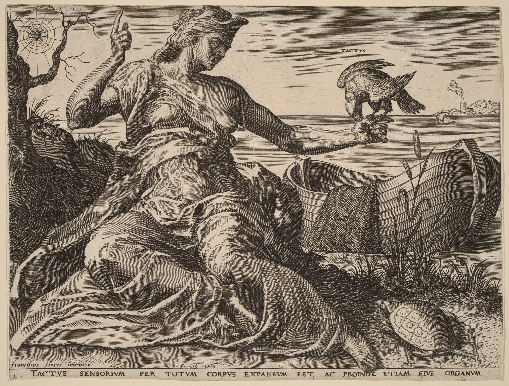 Tactus (Touch), detail