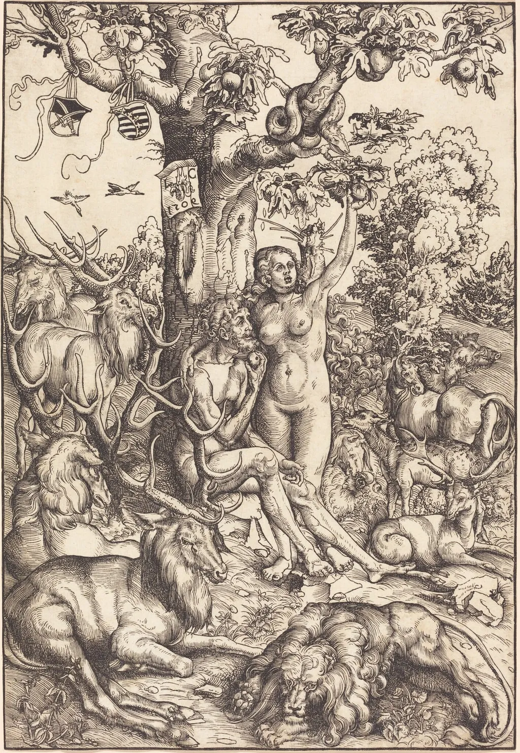 Adam and Eve in Paradise, by Lucas Cranach the Elder, ink, 1509