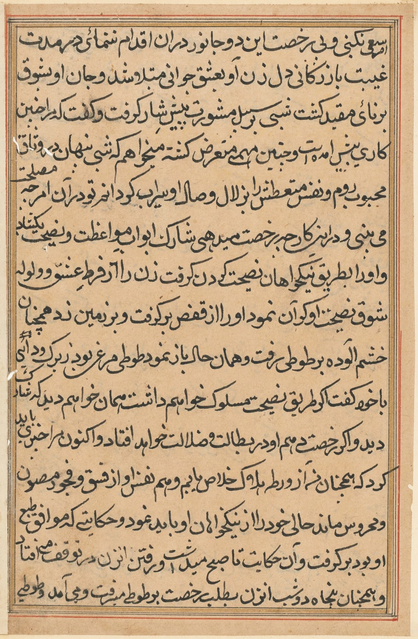 Page from Tales of a Parrot (Tuti-nama): text page, detail