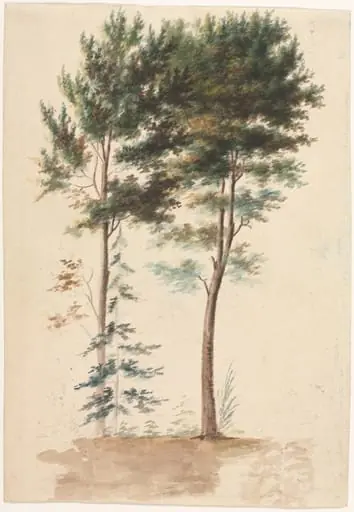Trees, by Jean Pillement, 1704