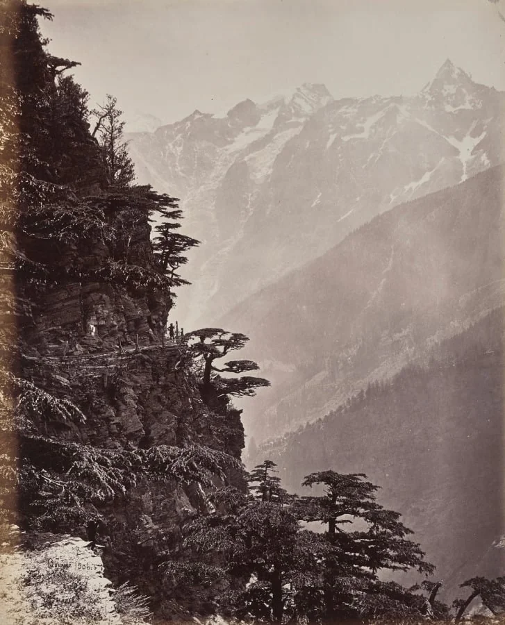 The Upper Himmalayahs. View on the New Road Near Rogi, detail