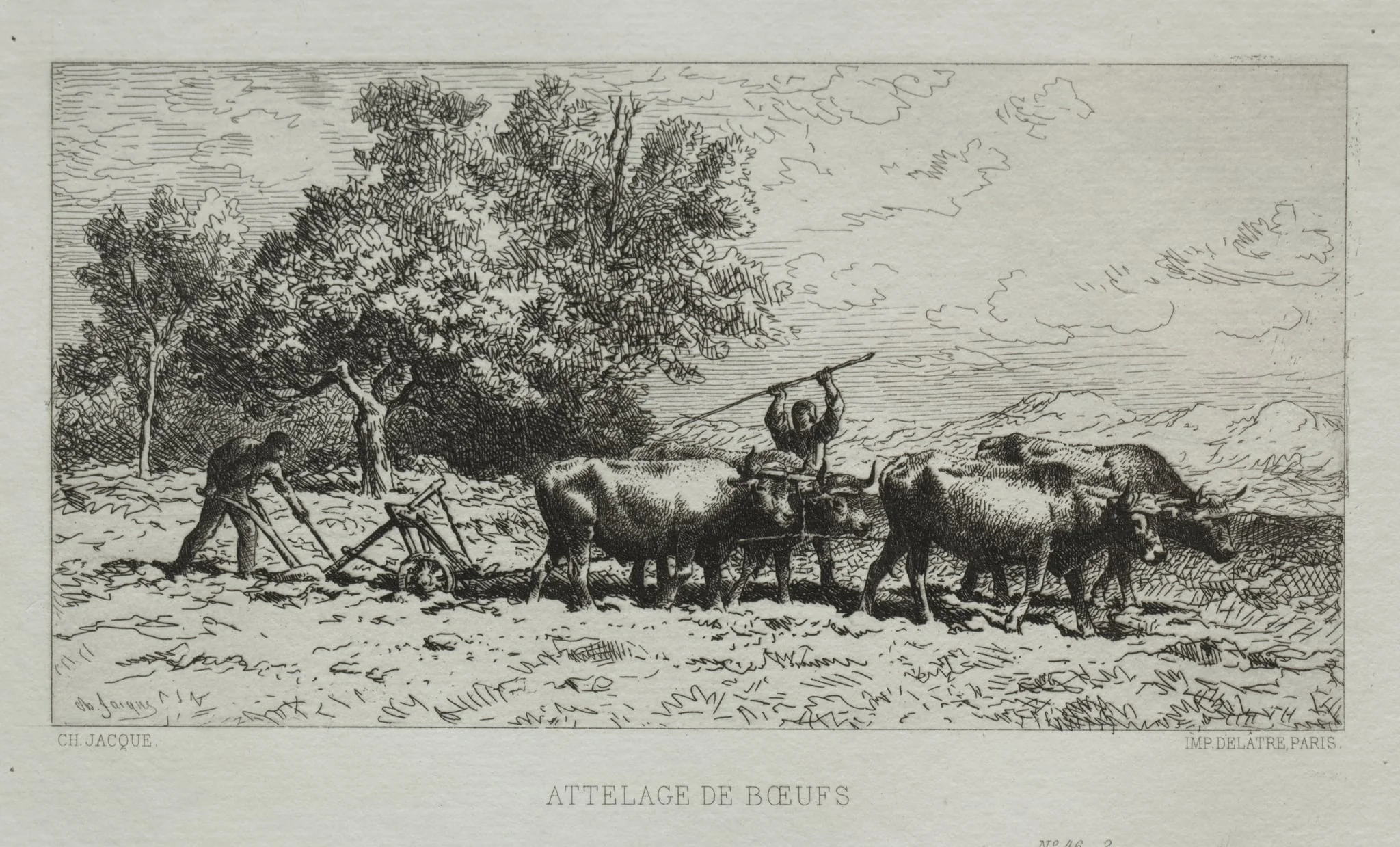 Team of Oxen, detail