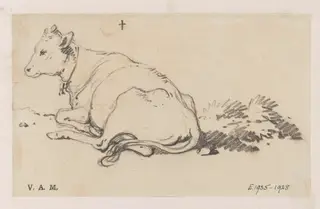 A cow on a grassy slope, by George Chinnery, 19