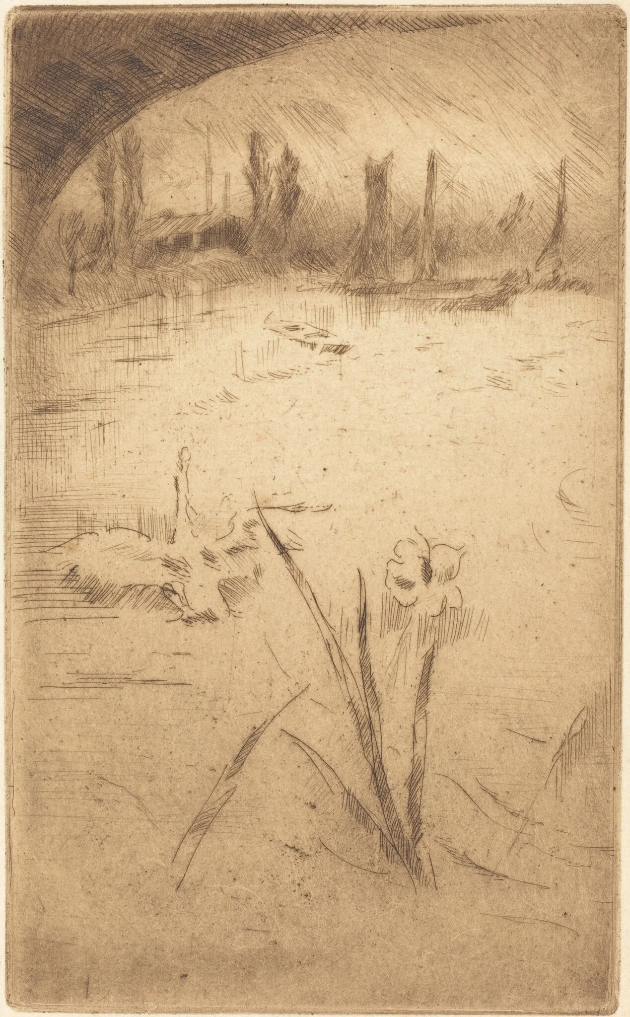 Swan and Iris, detail