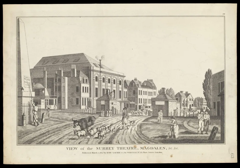 H Beard Print Collection, by James Whittle, 2