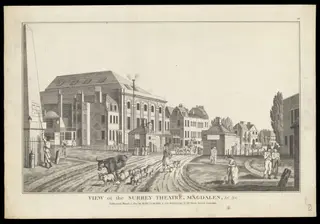 H Beard Print Collection, by James Whittle, 2