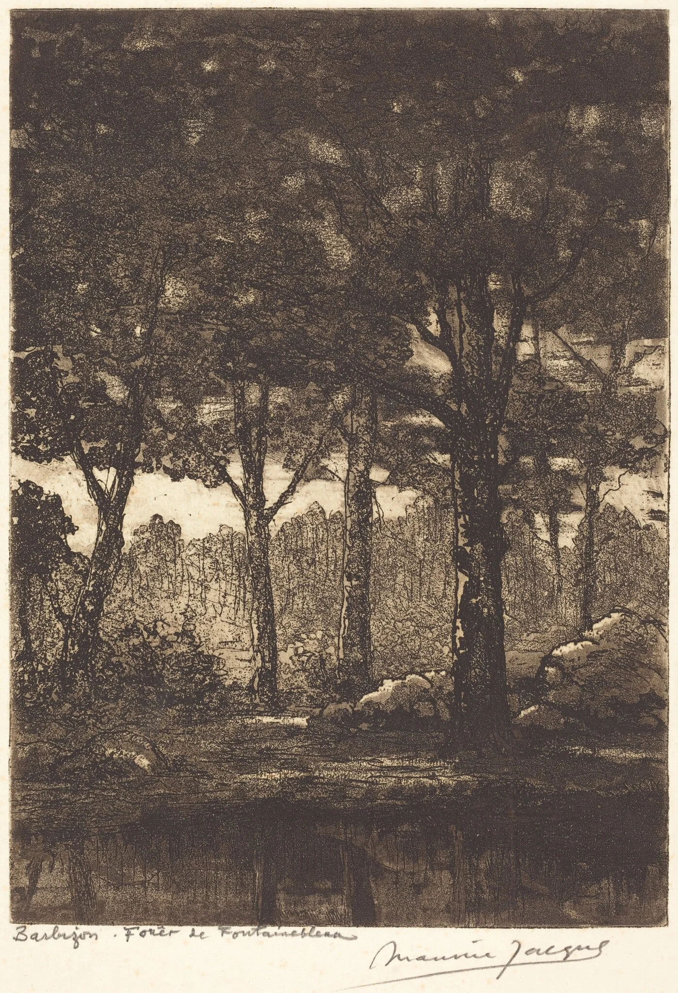 Barbizon: Foret de Fontainbleau, detail