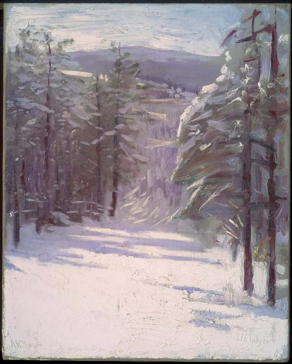 Winter Scene, by Abbott Handerson Thayer, oil, 1895