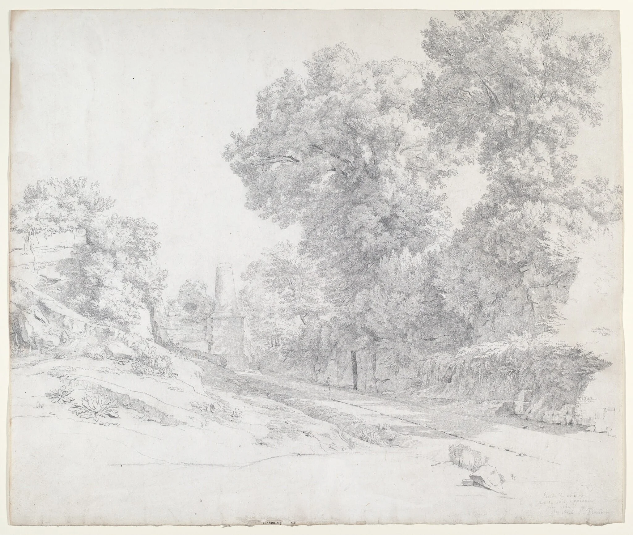 Oaks along the Appian Way near Albano, detail