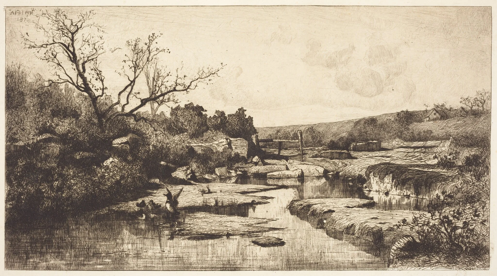 Landscape, detail