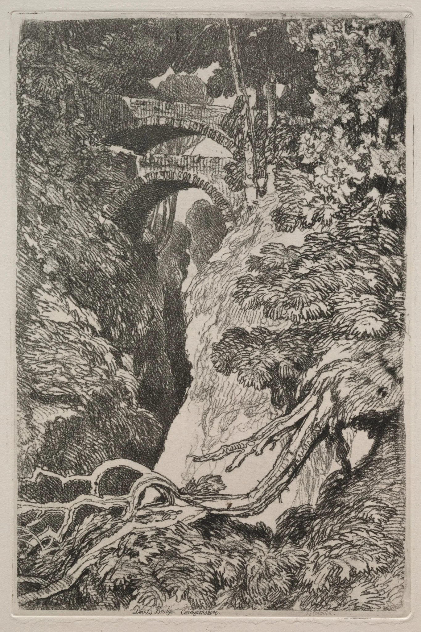 Liber Studiorum: Devil's Bridge, Cardiganshire, detail