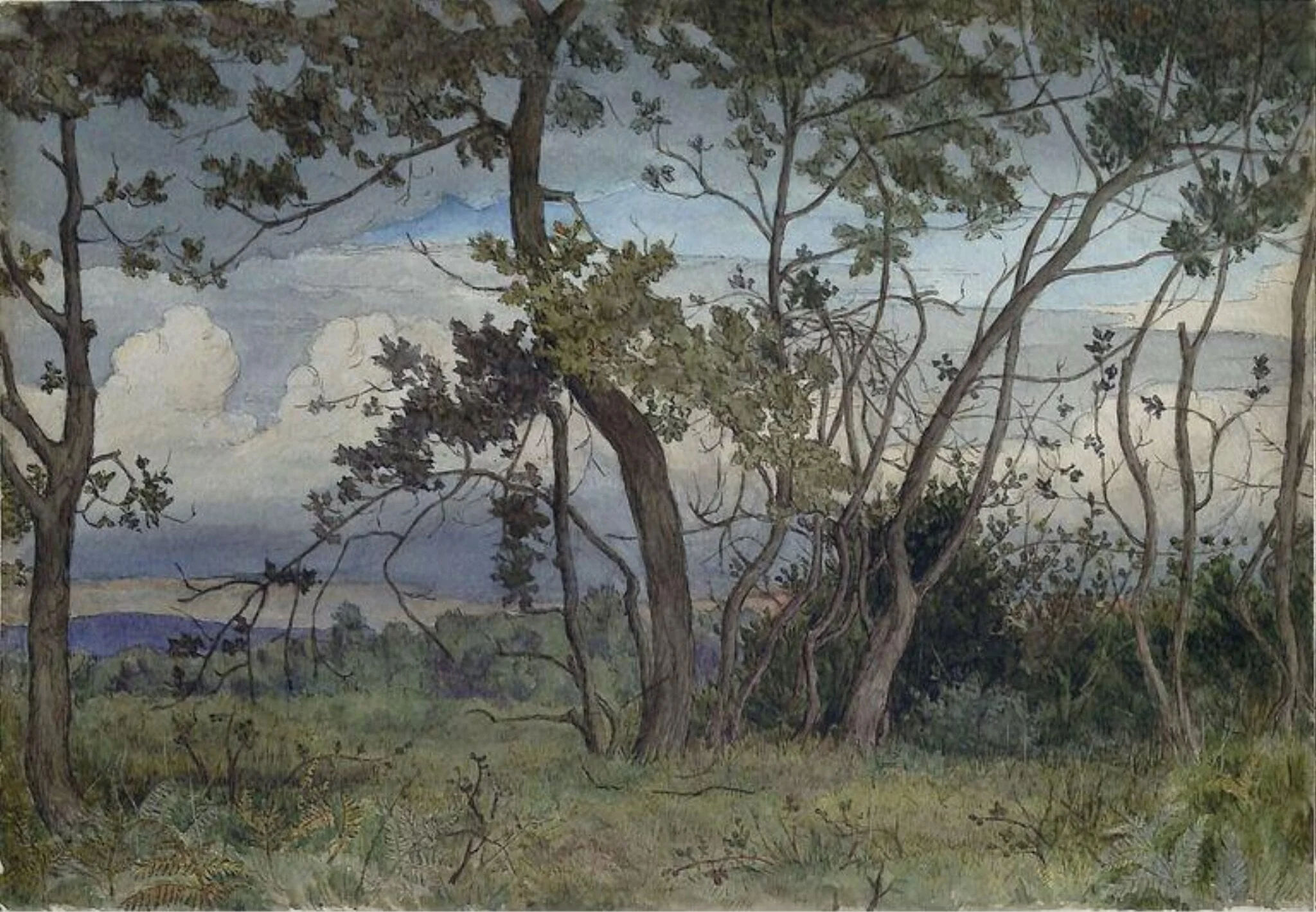 Holmwood, detail