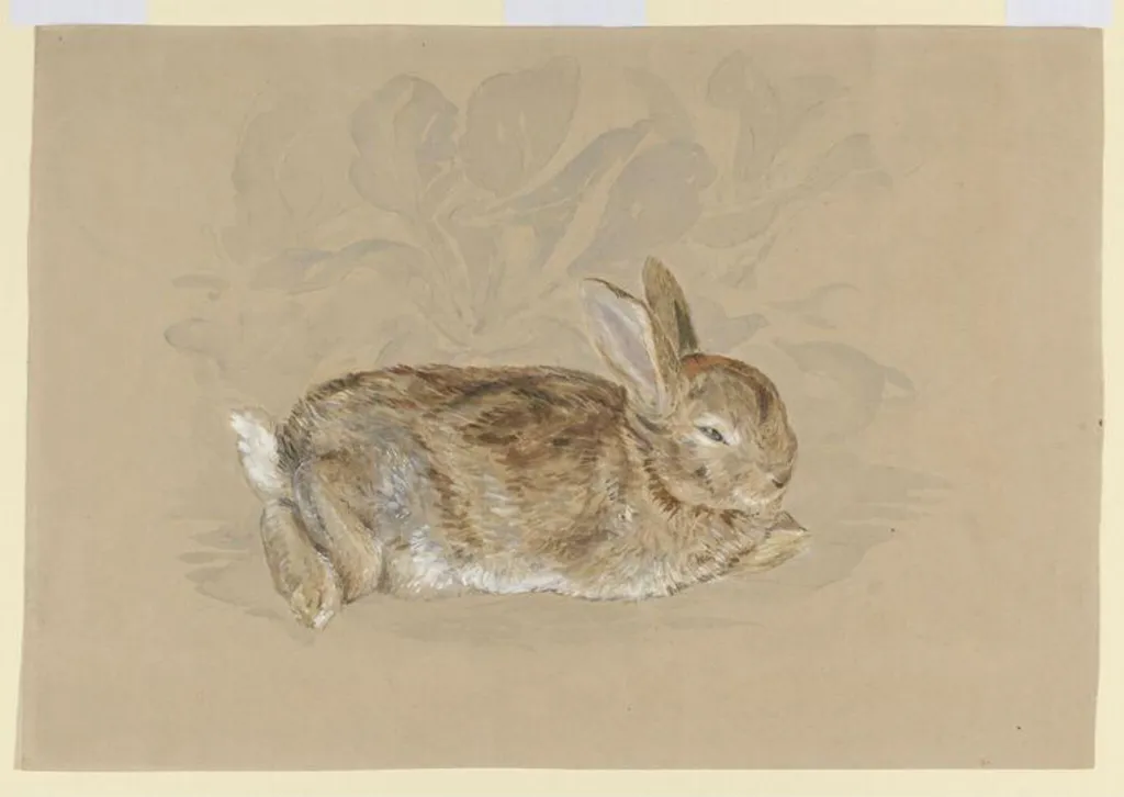 'Brer Rabbit' in a garden, by Beatrix Potter, watercolor, 1892