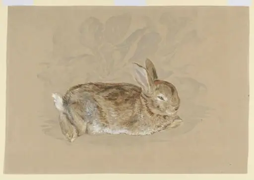 'Brer Rabbit' in a garden, by Beatrix Potter, watercolor, 1892