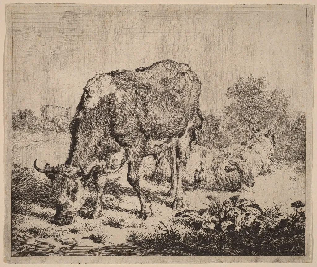 Spotted Bull and Three Sheep, by Adriaen van de Velde, ink, 1670