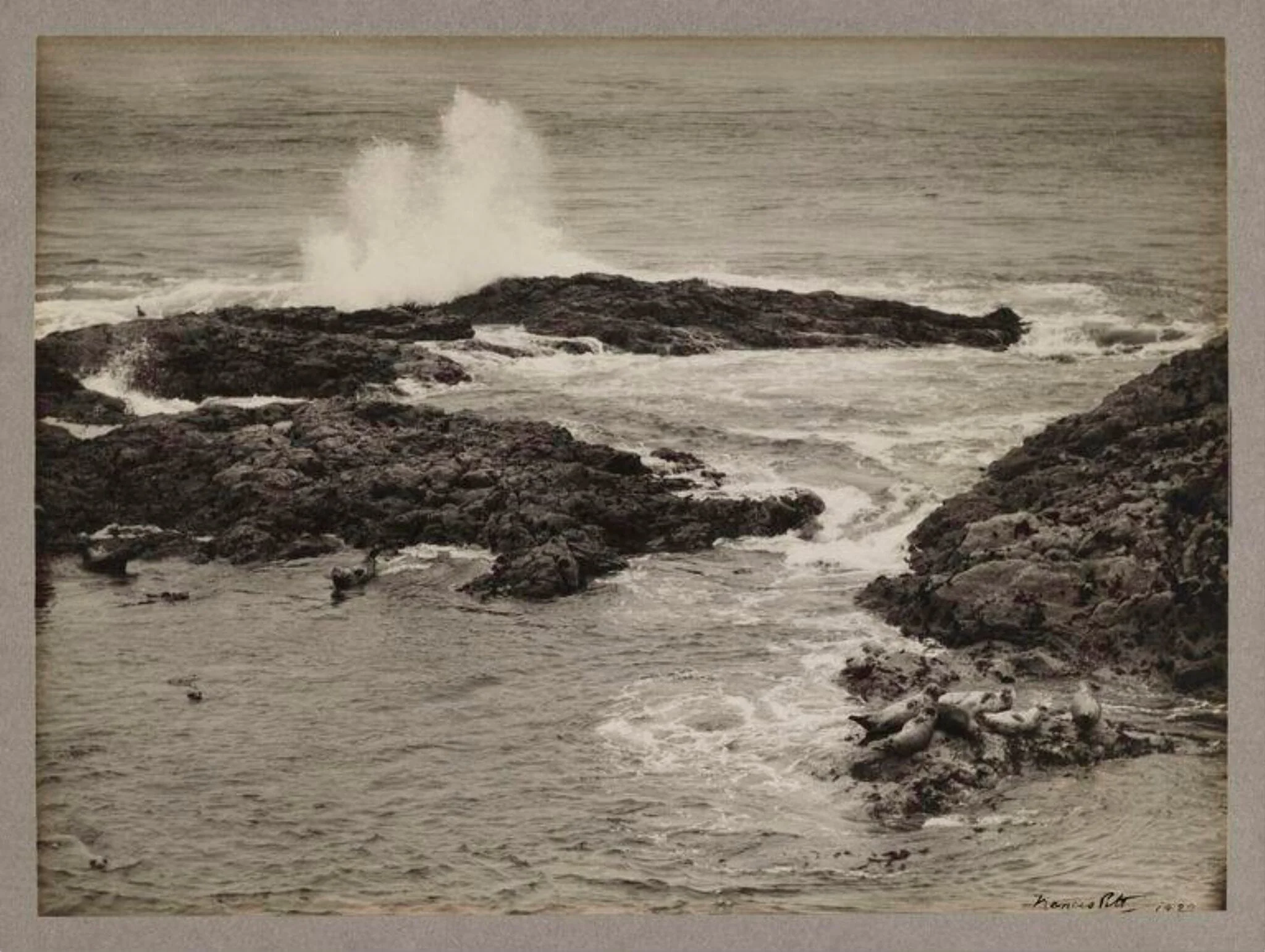 The Seal Harbour, detail