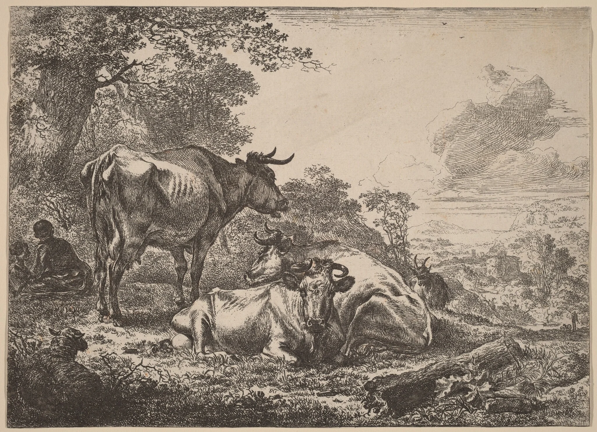 Resting Cows, detail