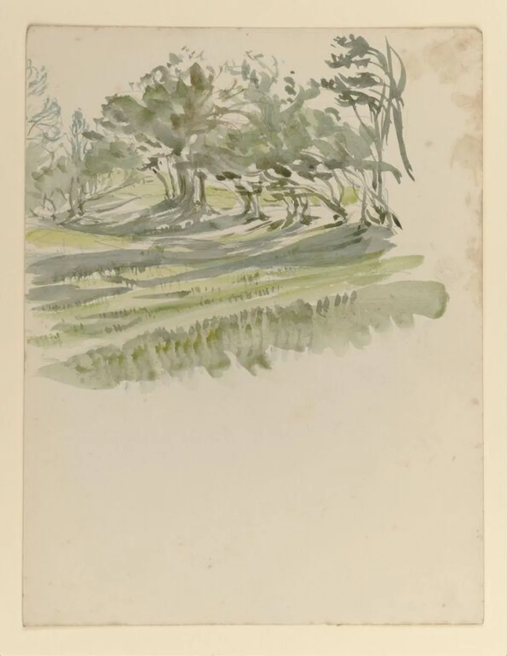 A meadow flanked by a line of trees, by Beatrix Potter, watercolor, 1905