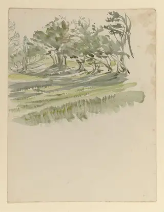 A meadow flanked by a line of trees, by Beatrix Potter, watercolor, 1905