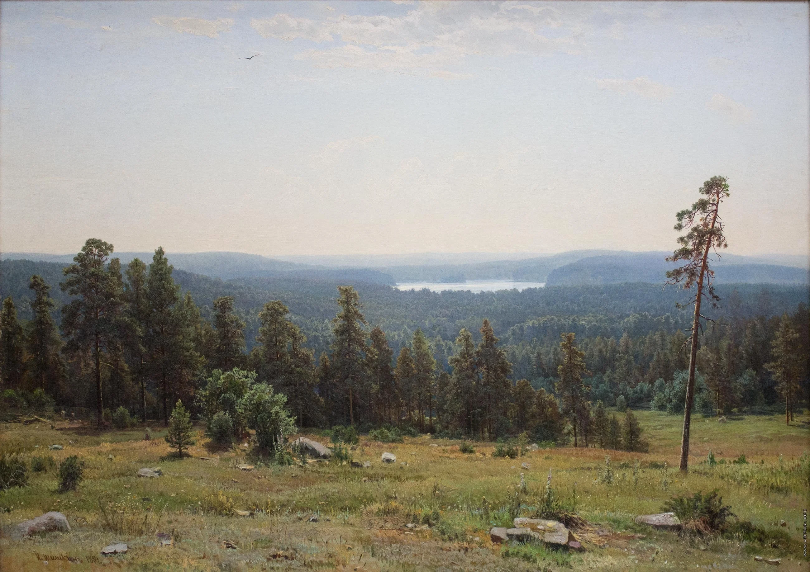 Forest distant views, detail