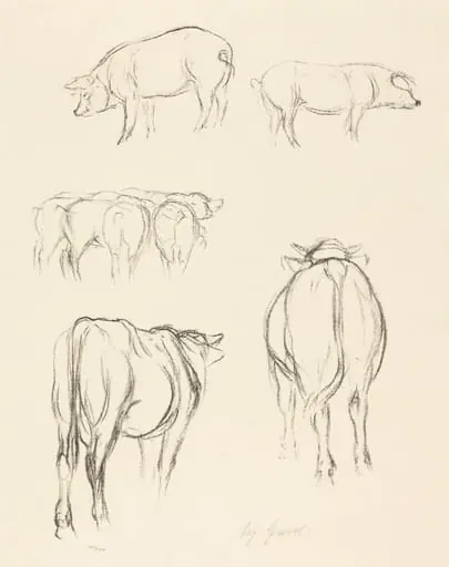 Animal Sketches, by August Gaul, ink, 1895