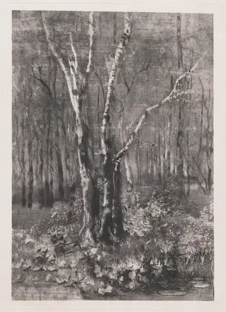 Woods in the Park near Monza, by Mosè Bianchi, ink, 1895