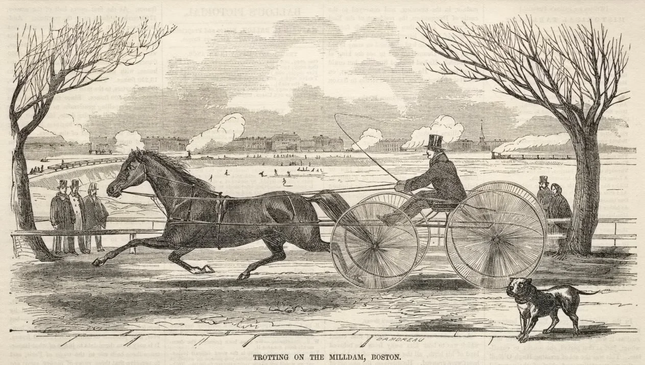 Trotting on the Mill Dam, Boston, detail