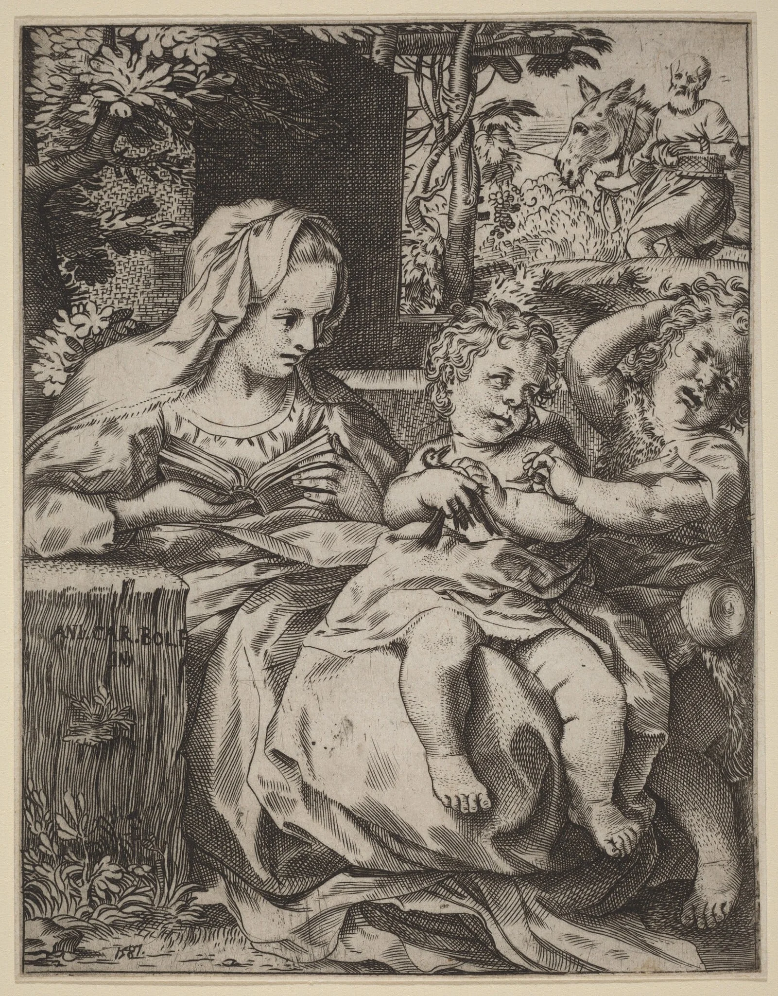 The Madonna of the Swallow (La Madonna Della Rondinella), detail