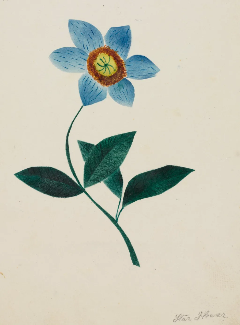 Star Flower, by Mary Altha Nims, 1804