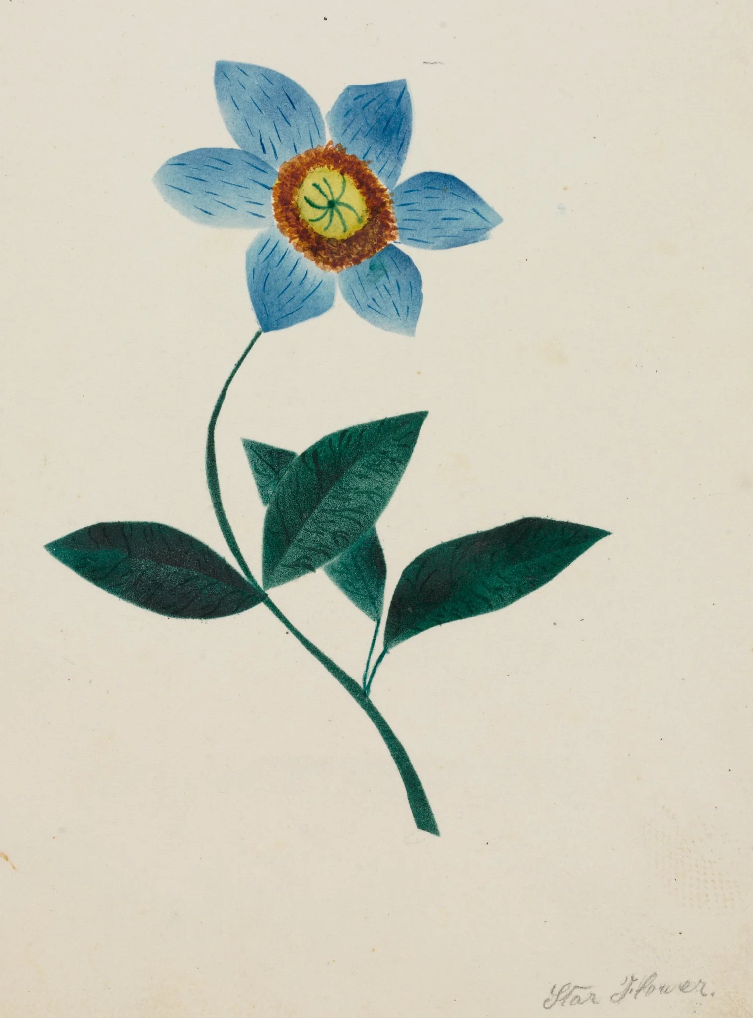 Star Flower, detail