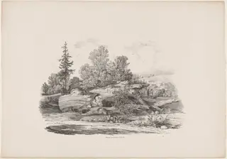 Forest Clearing with an Oak Trunk, by Carl August Lebschée, ink, 1829