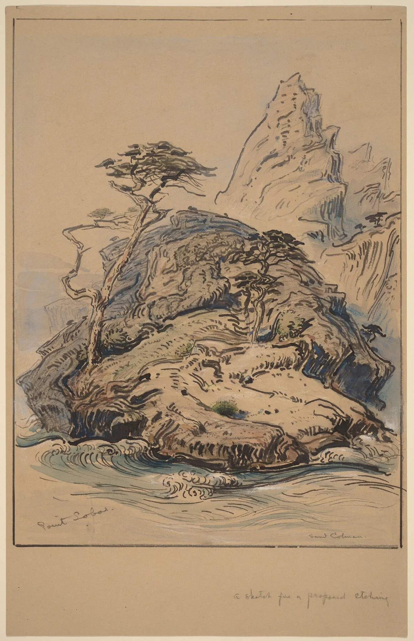 Point Lobos, California, detail