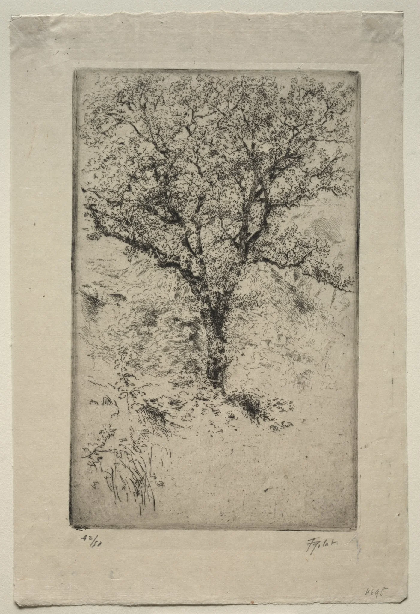 The Great Oak Tree, Monte Oliveto, detail