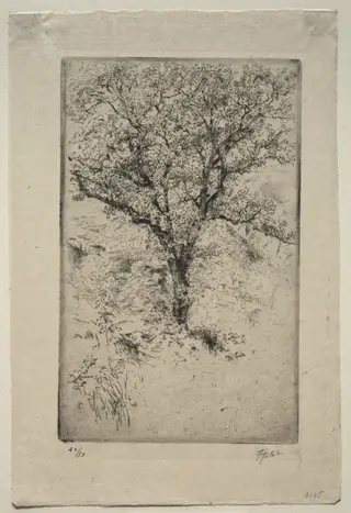 The Great Oak Tree, Monte Oliveto, by Tigrane Polat, 1900