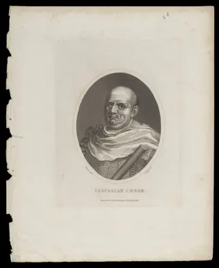 H Beard Print Collection, by Titian