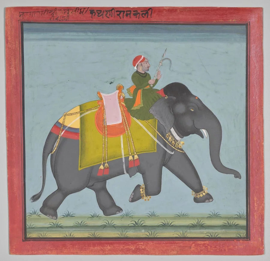 Royal Elephant Ramkali with a Mahout, detail