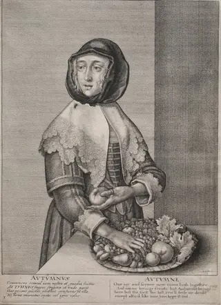 The Four Seasons:  Autumn, by Wenceslaus Hollar, 1641