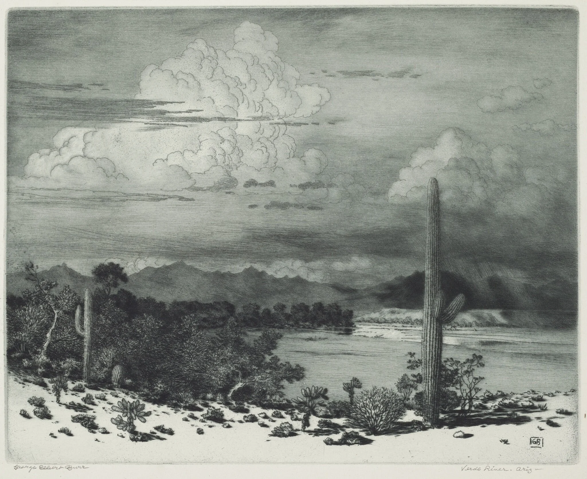 Verde River, Arizona, detail