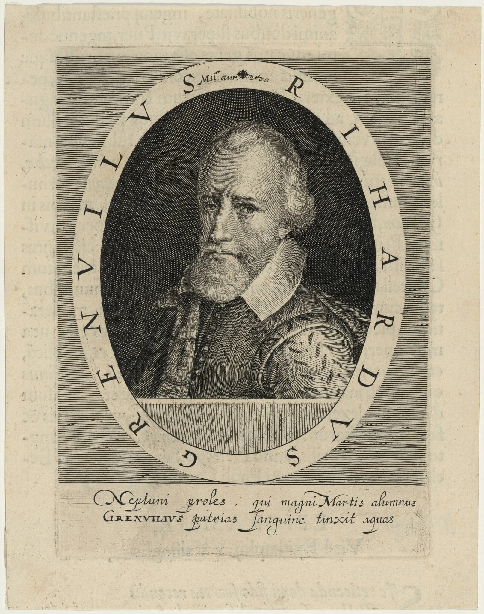 Sir Richard Grenville, Naval Commander, detail