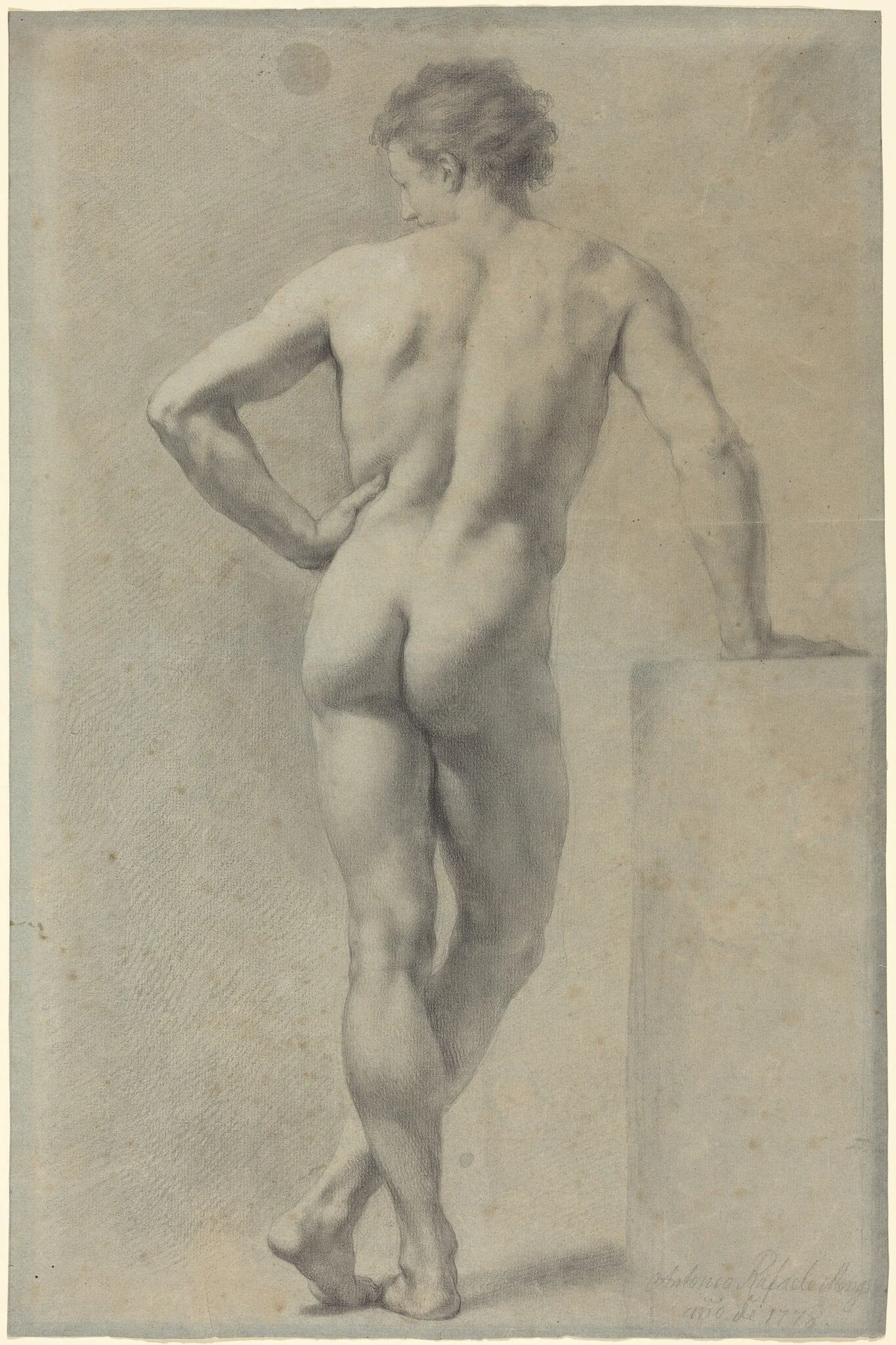 Male Nude Study, detail