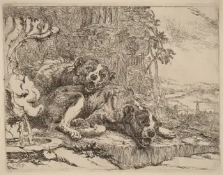 Two Mastiffs beside a Fountain, by Jan Fyt, ink, 1642