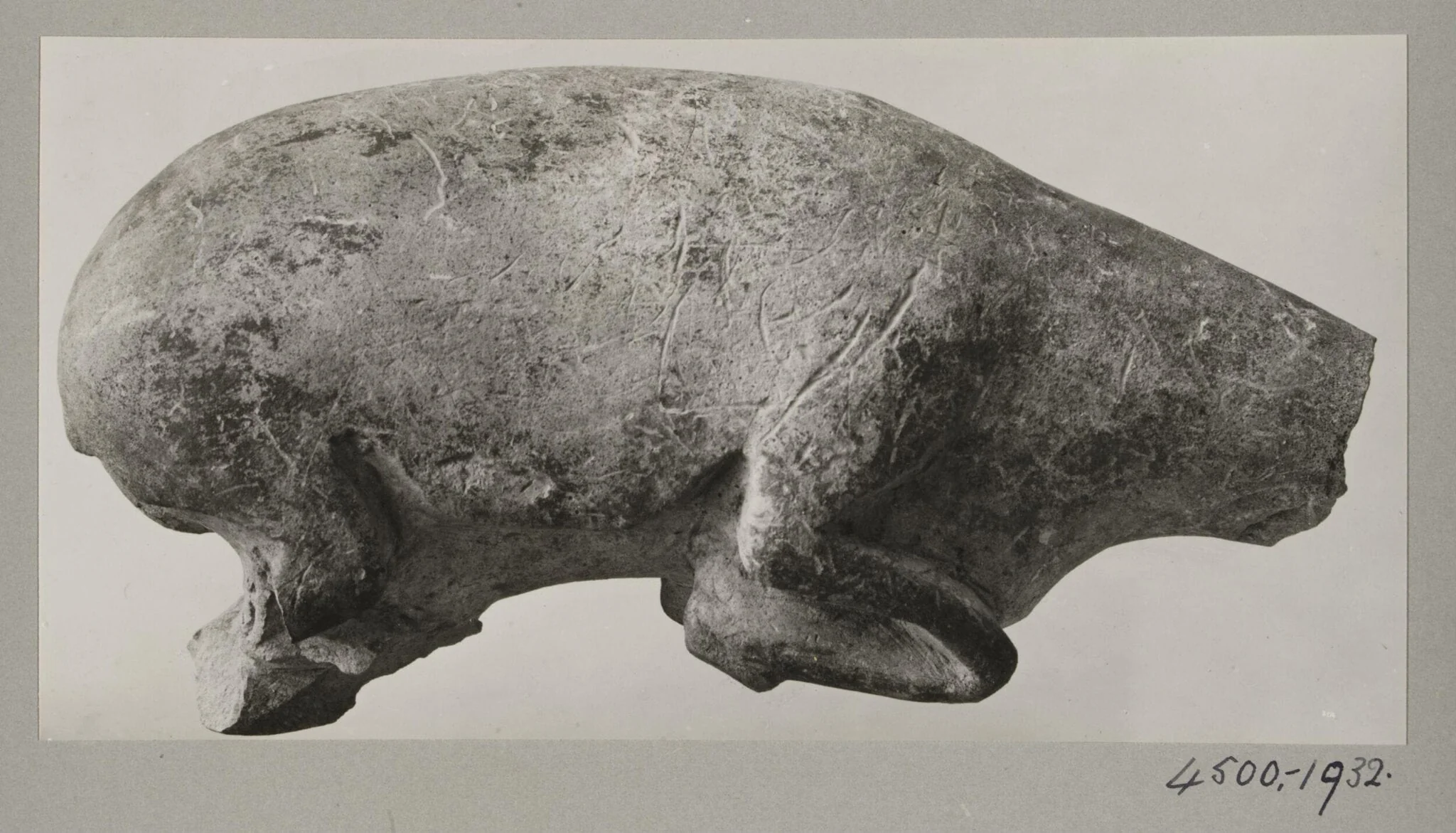 Prehistoric limestone sculpture of a deer, torso, detail