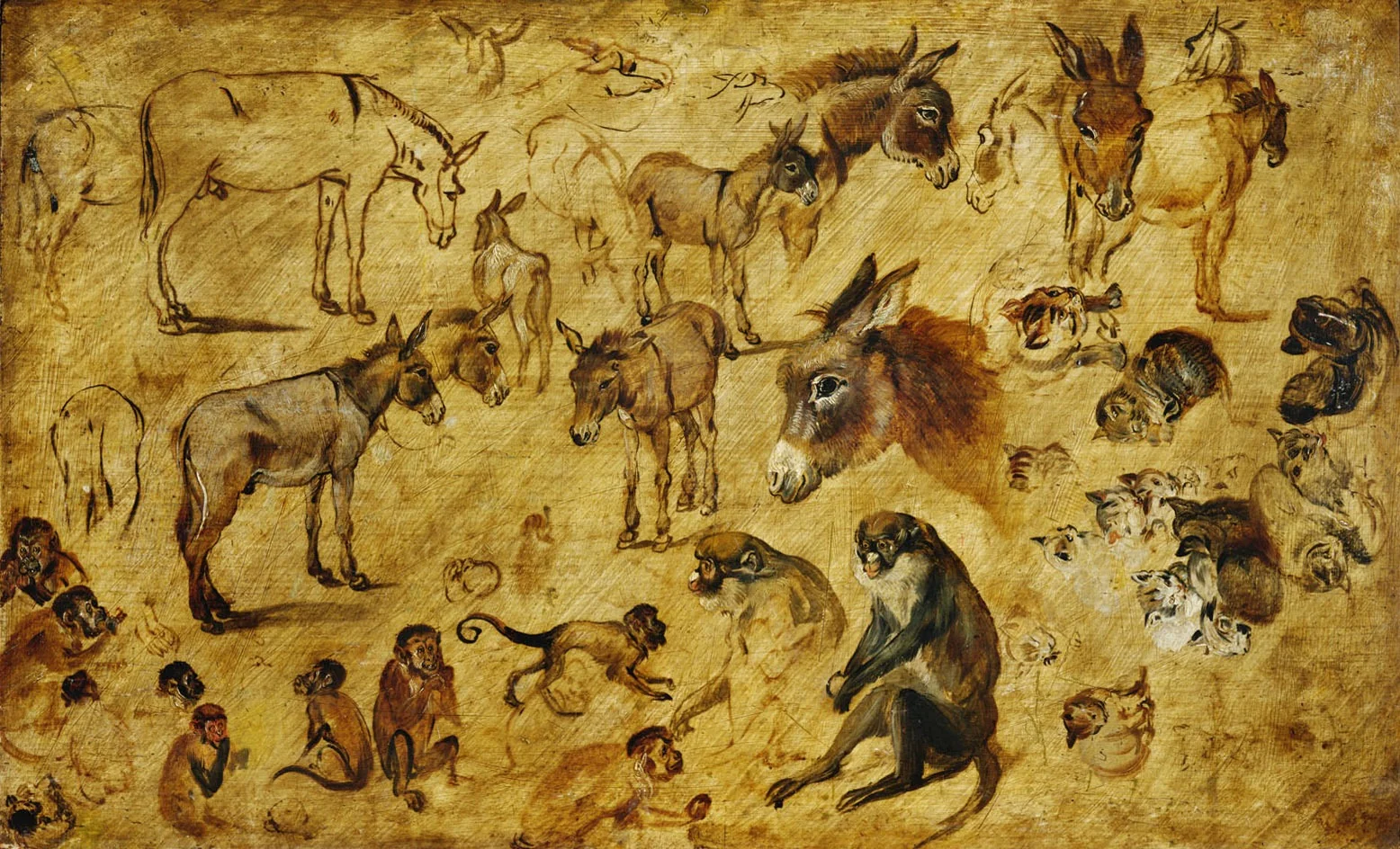 Studies of Animals (Donkeys, Cats, Monkeys), detail