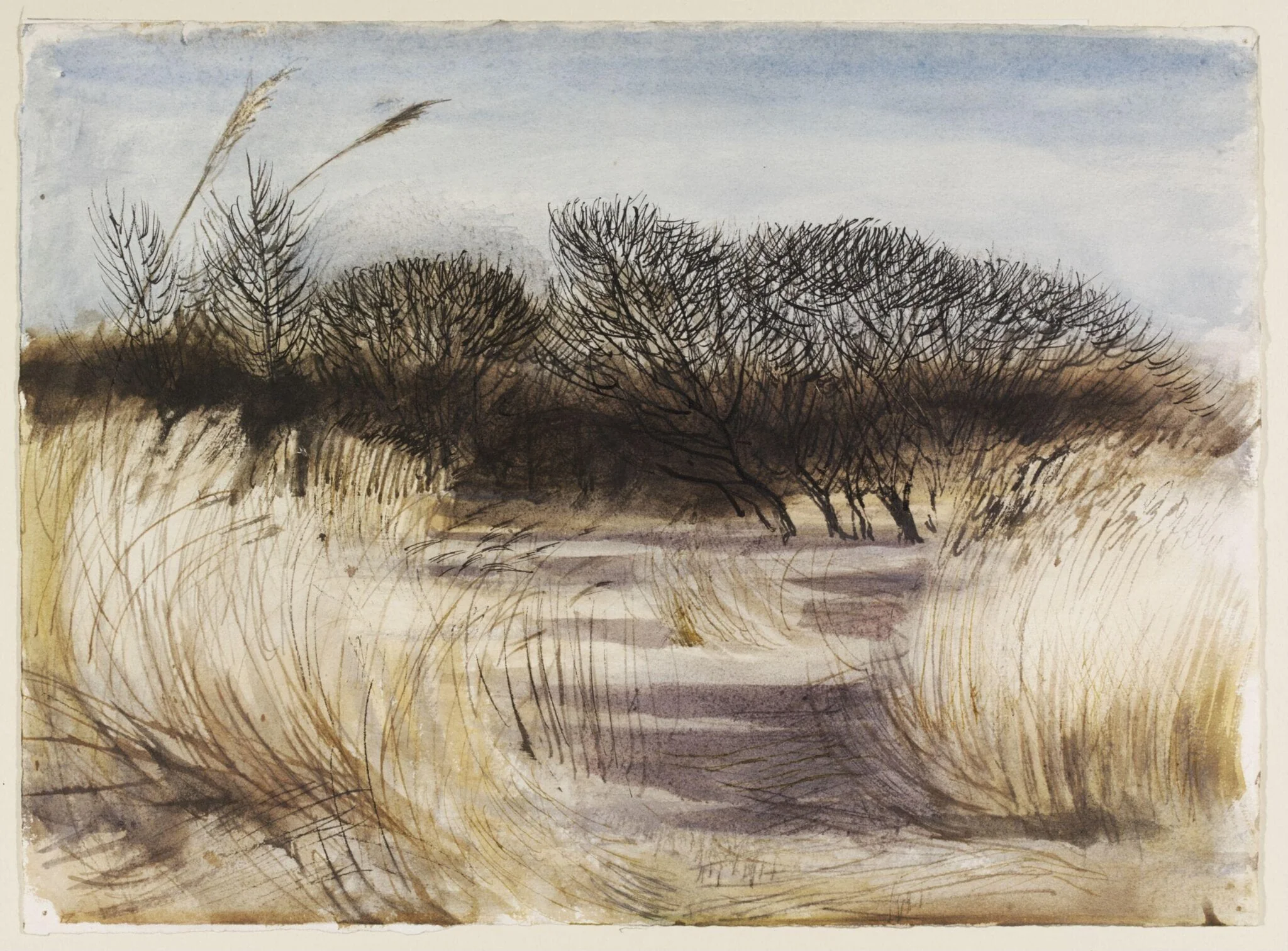 Oxwich, Gower, Glamorganshire, detail