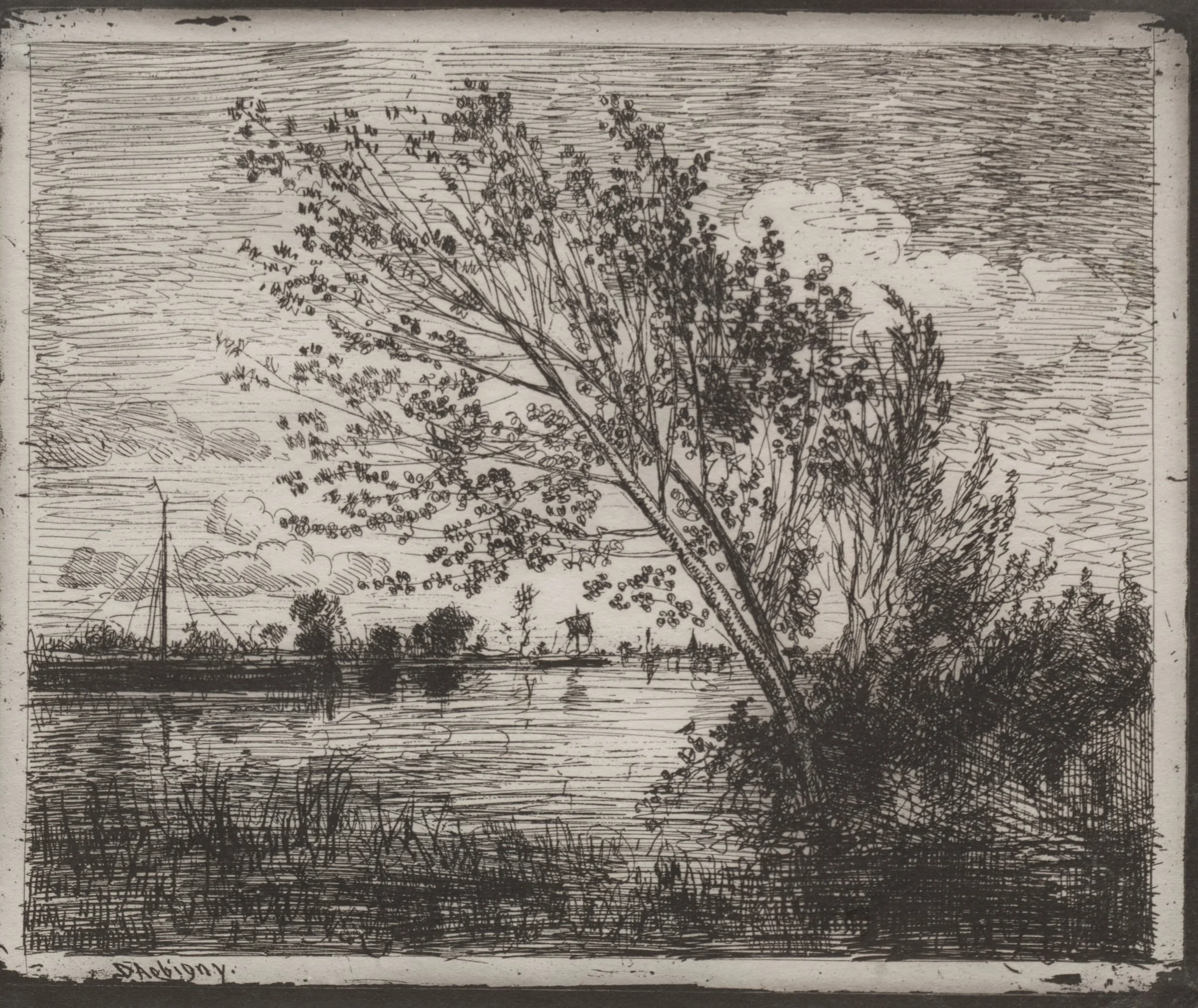 A Cluster of Alders, detail